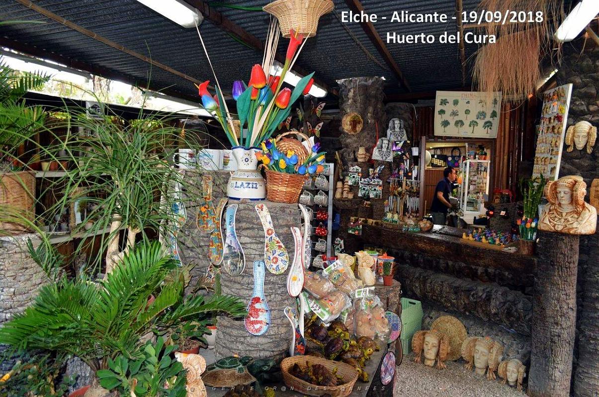 19 ELCHE HUERTO DEL CURA (24).JPG